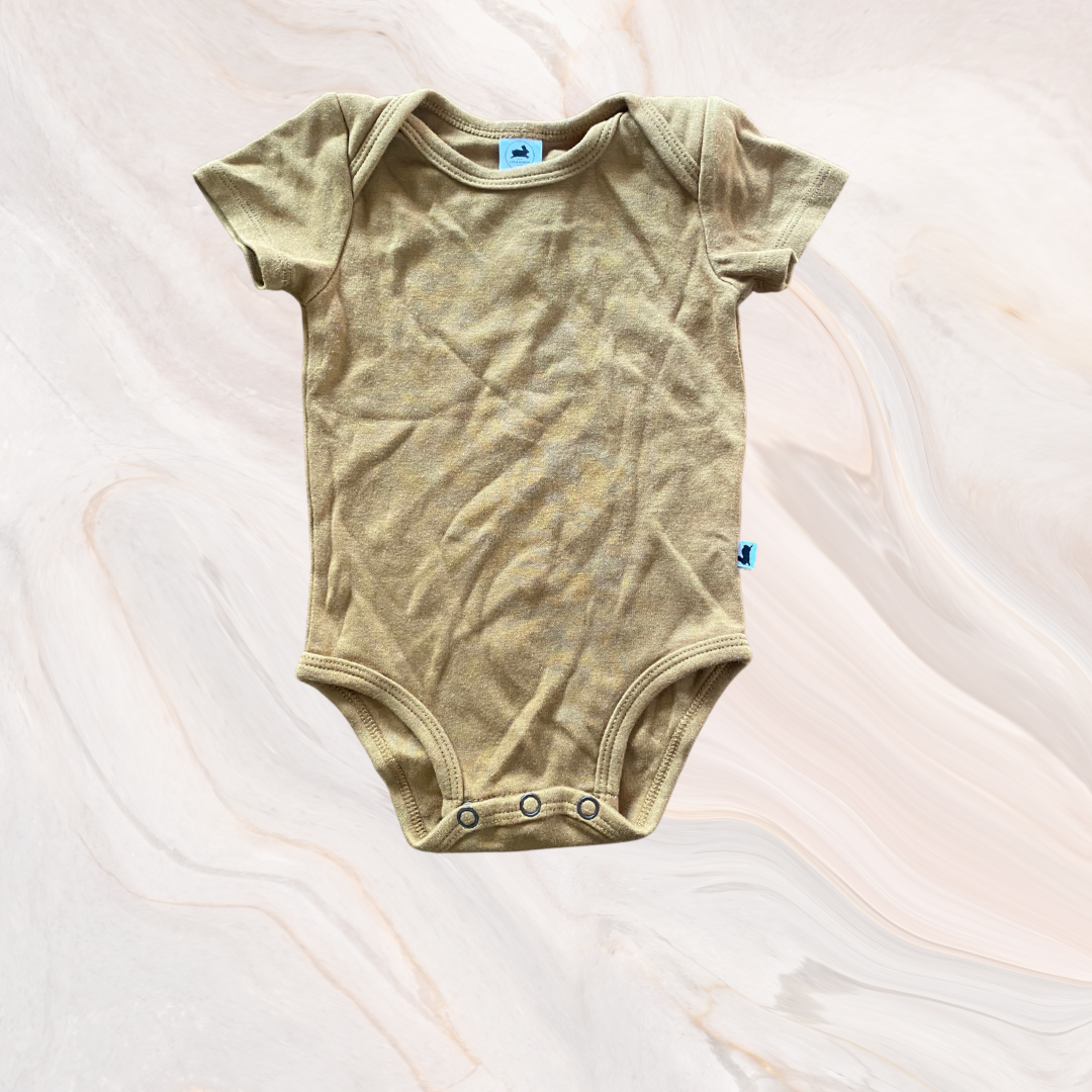 little and lively bamboo bodysuit (6-12 mo) – Nickel City